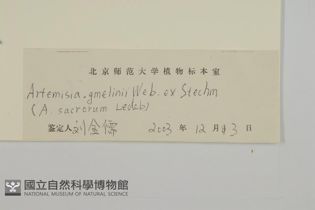 白蓮蒿藏品圖，第3張