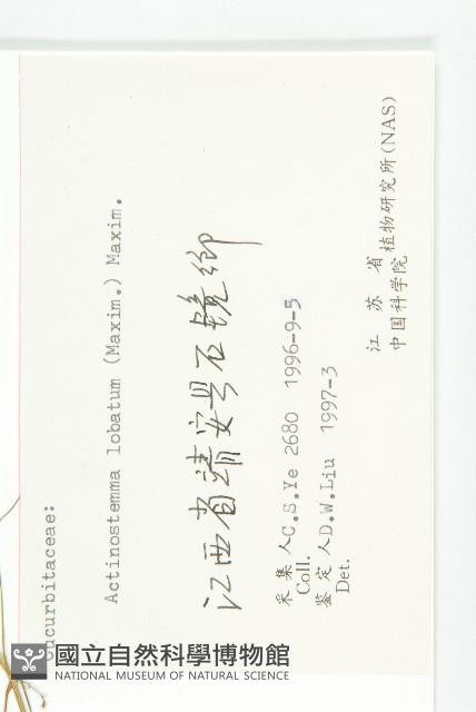 合子草藏品圖，第3張