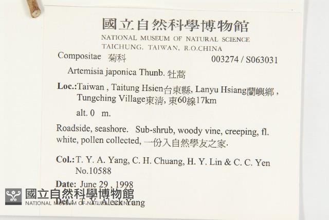 牡蒿藏品圖，第2張