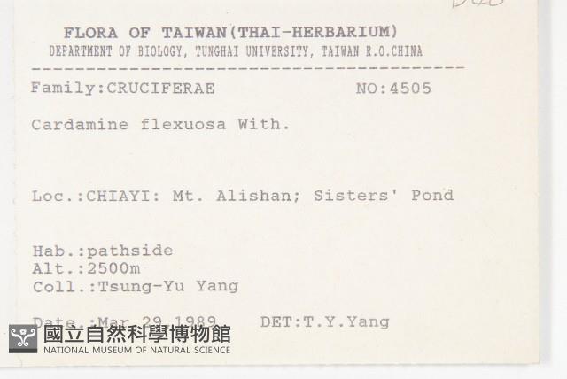 焊菜藏品圖，第2張