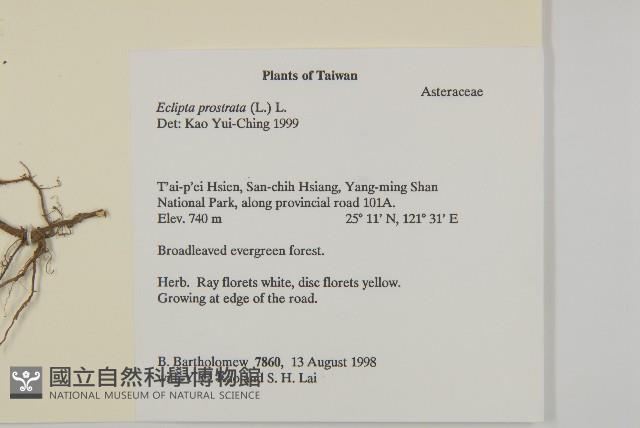 鱧腸藏品圖，第2張