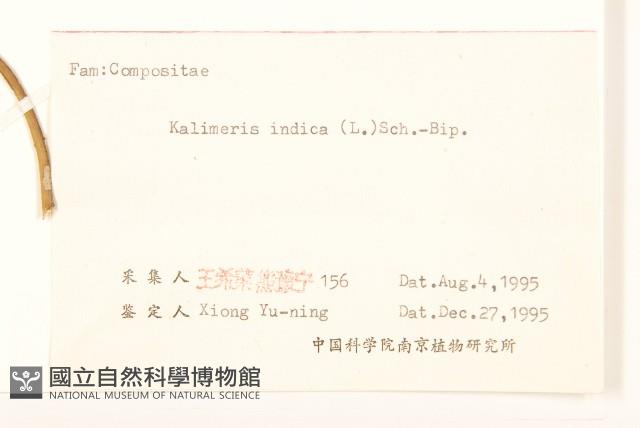 雞兒腸藏品圖，第3張