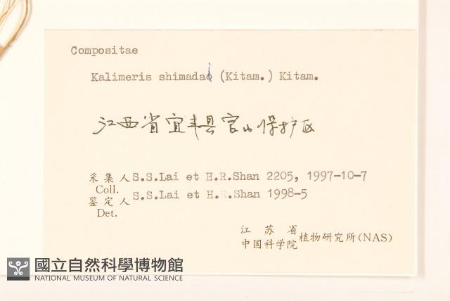 島田氏雞兒腸藏品圖，第3張