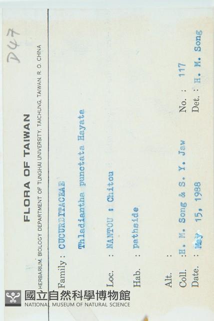 斑花青牛膽藏品圖，第2張