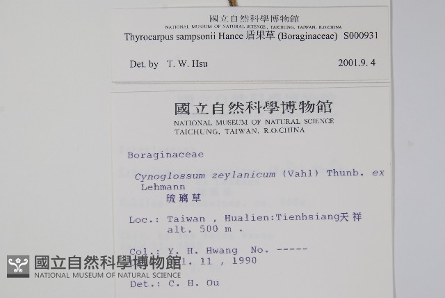 盾果草藏品圖，第2張