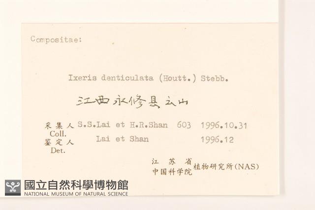 苦實菜藏品圖，第3張