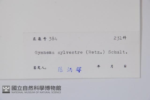 武靴藤藏品圖，第2張