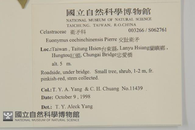 交趾衛矛藏品圖，第2張