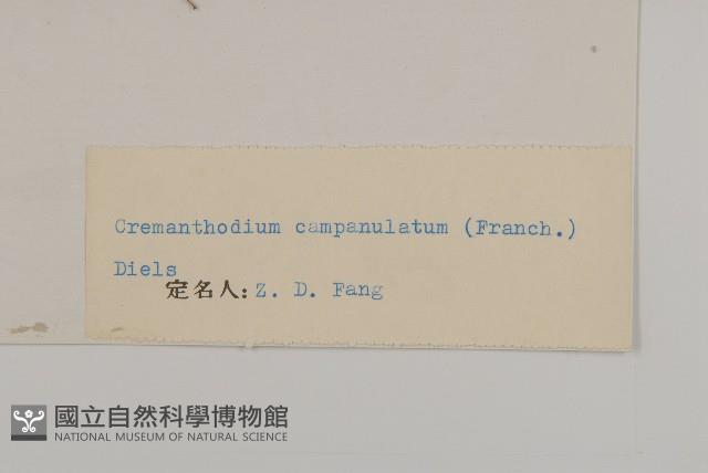 石岩報春藏品圖，第3張