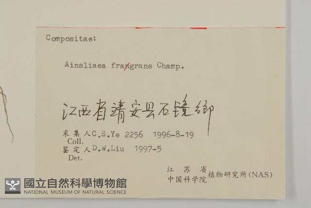 香鬼督郵藏品圖，第3張