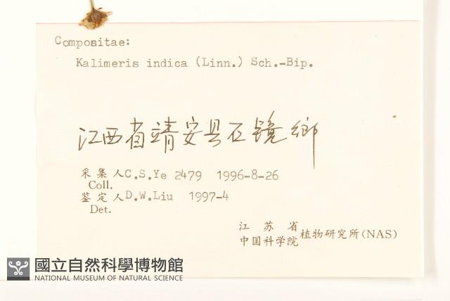 雞兒腸藏品圖，第3張