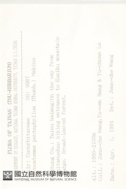 絞股藍藏品圖，第2張