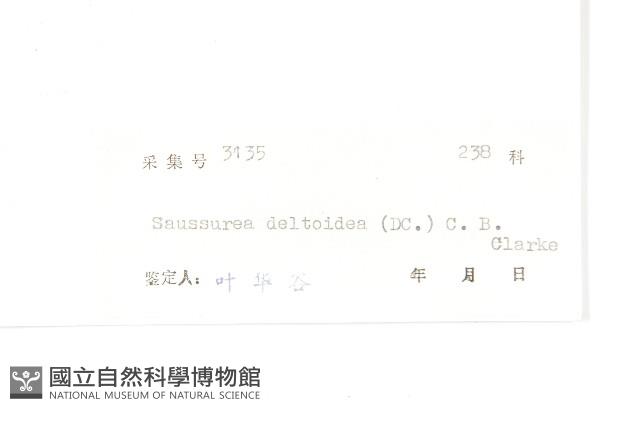 臺灣青木香藏品圖，第3張