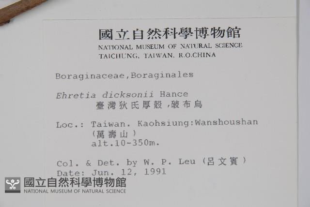 破布烏藏品圖，第2張