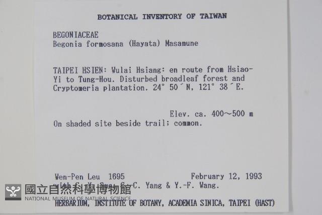 水鴨腳藏品圖，第2張