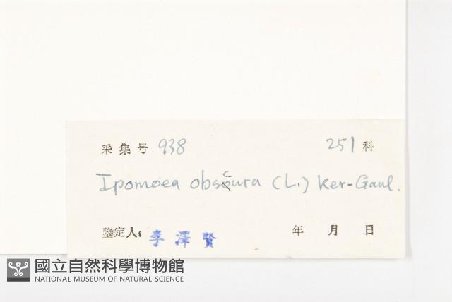 野牽牛藏品圖，第3張