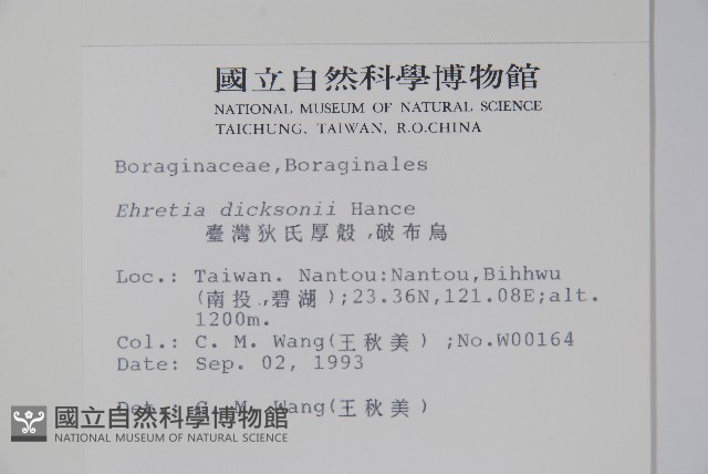 破布烏藏品圖，第2張