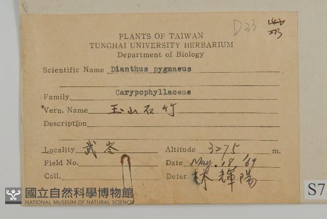 玉山石竹藏品圖，第2張