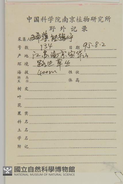 瓜槌草、漆姑草藏品圖，第2張