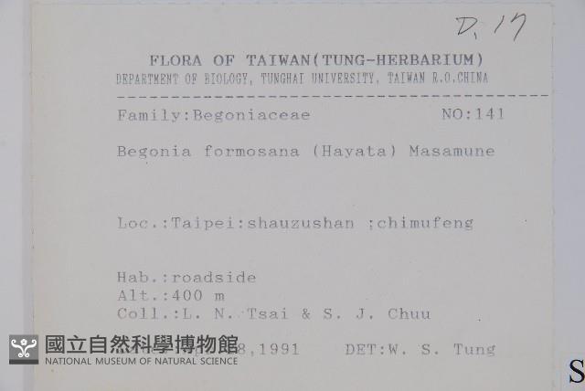 水鴨腳藏品圖，第2張