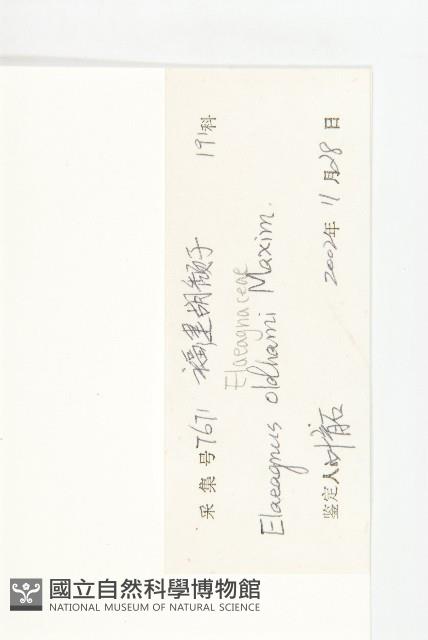宜梧藏品圖，第3張