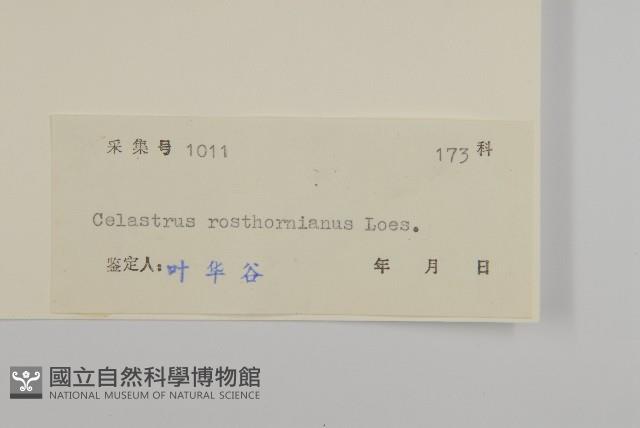 Accession Number:S044141 Collection Image, Figure 3, Total 3 Figures