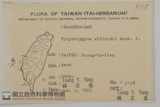 雷公藤藏品圖，第2張