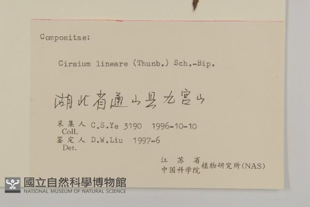 華薊藏品圖，第3張