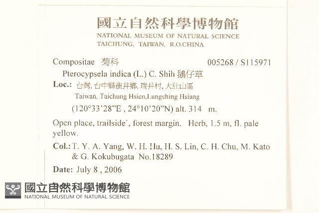 Accession Number:S115971 Collection Image, Figure 3, Total 3 Figures