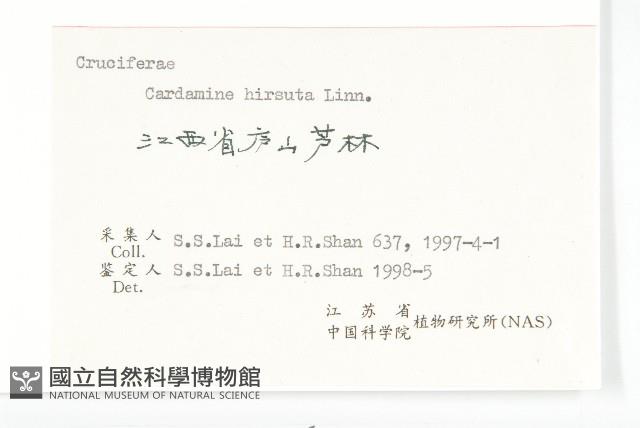 碎米薺藏品圖，第3張