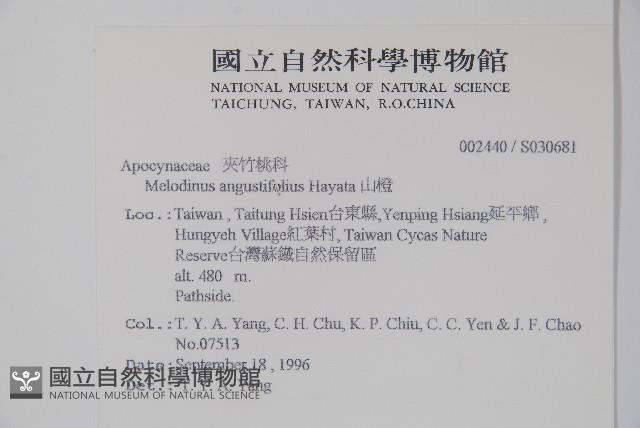 山橙藏品圖，第2張