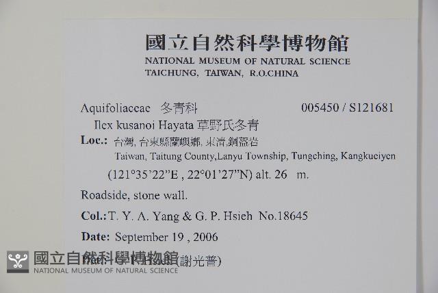 草野氏冬青藏品圖，第2張