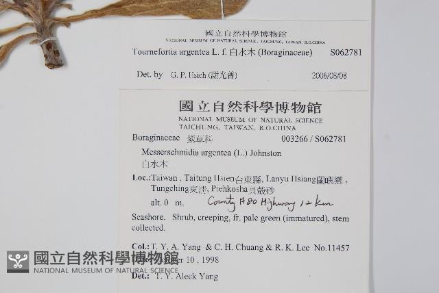 白水木藏品圖，第2張