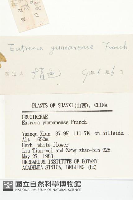 山俞菜藏品圖，第3張