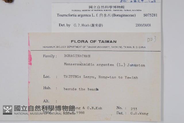 白水木藏品圖，第2張