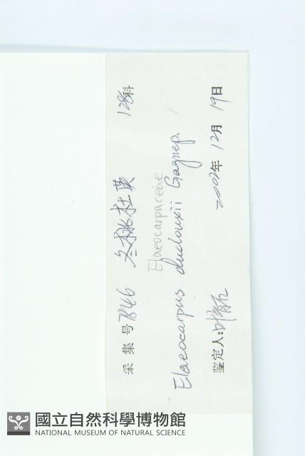 冬桃藏品圖，第3張
