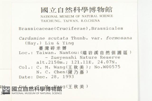 焊菜藏品圖，第2張