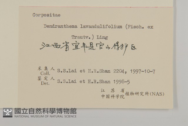 姜菱菊藏品圖，第3張
