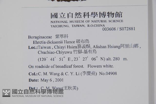 破布烏藏品圖，第2張