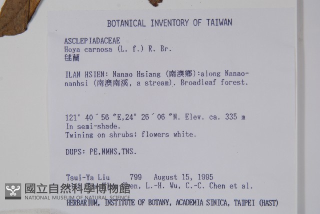 毬蘭藏品圖，第2張