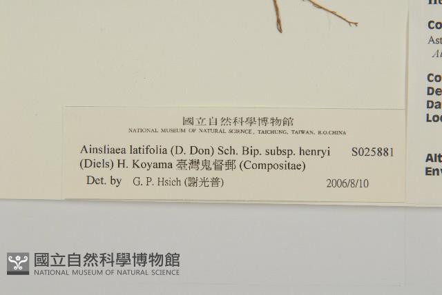 臺灣鬼督郵藏品圖，第3張