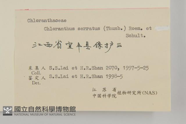 及己藏品圖，第3張