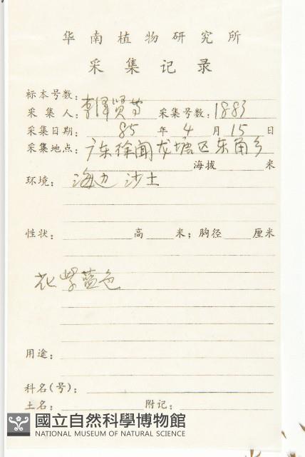 土丁桂藏品圖，第2張