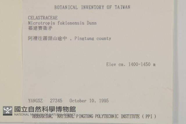 福建賽衛矛、福建假衛矛藏品圖，第2張
