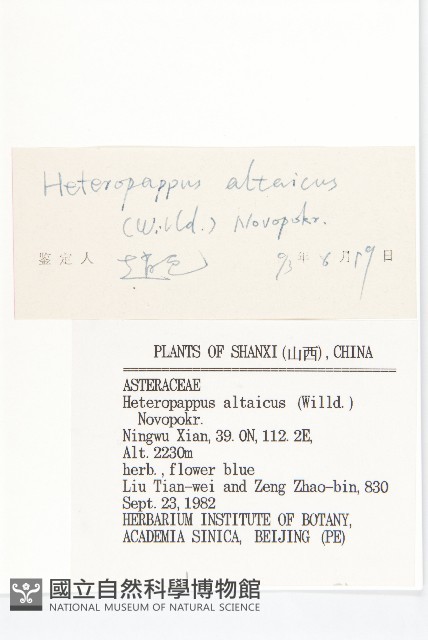 阿爾泰狗哇花藏品圖，第3張