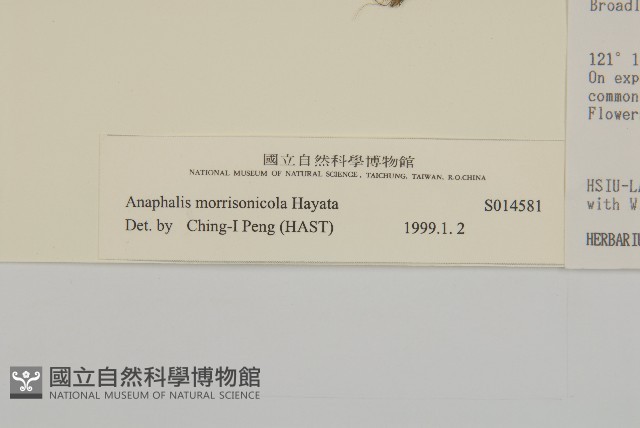 玉山抱莖籟簫藏品圖，第3張