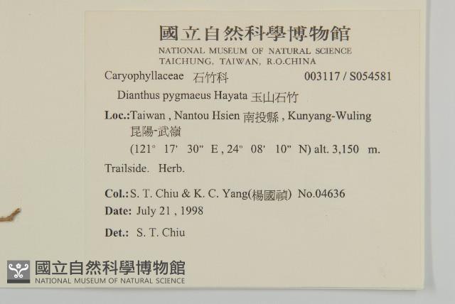 玉山石竹藏品圖，第2張