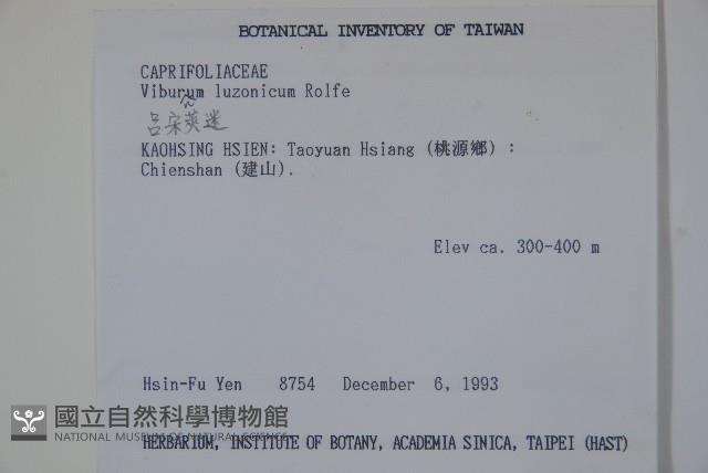 呂宋莢迷藏品圖，第2張