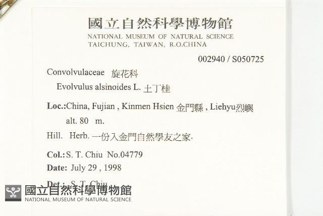 土丁桂藏品圖，第2張