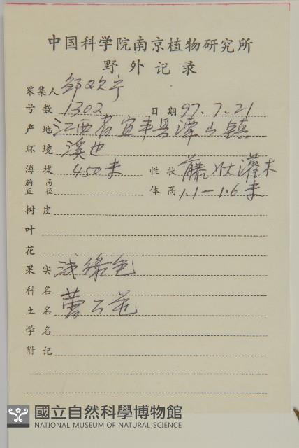 雷公藤藏品圖，第2張